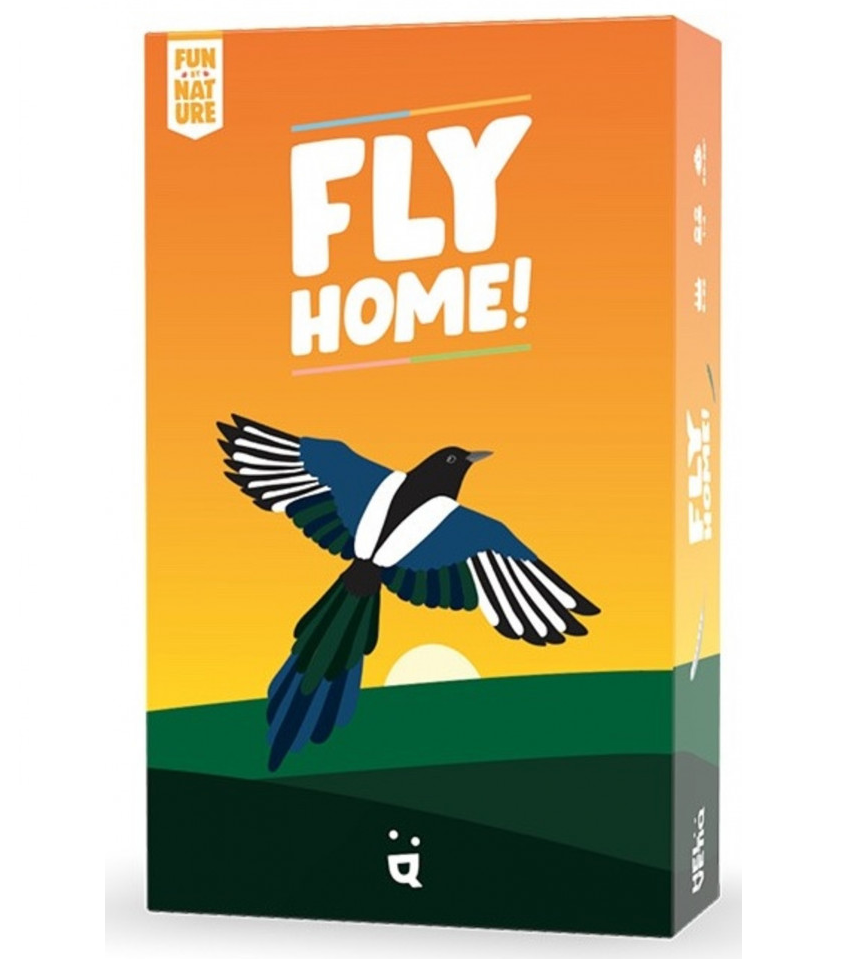 Fly Home