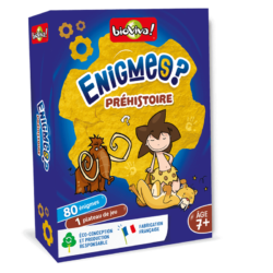 Les Enigmes De La Prehistoire