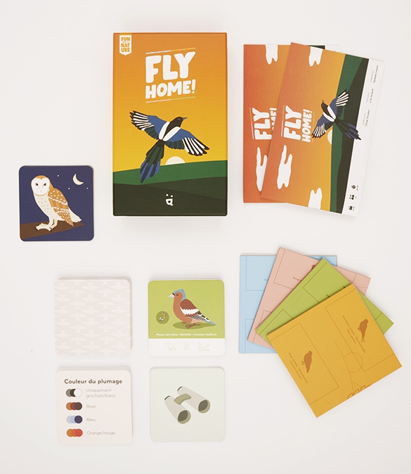 Fly Home