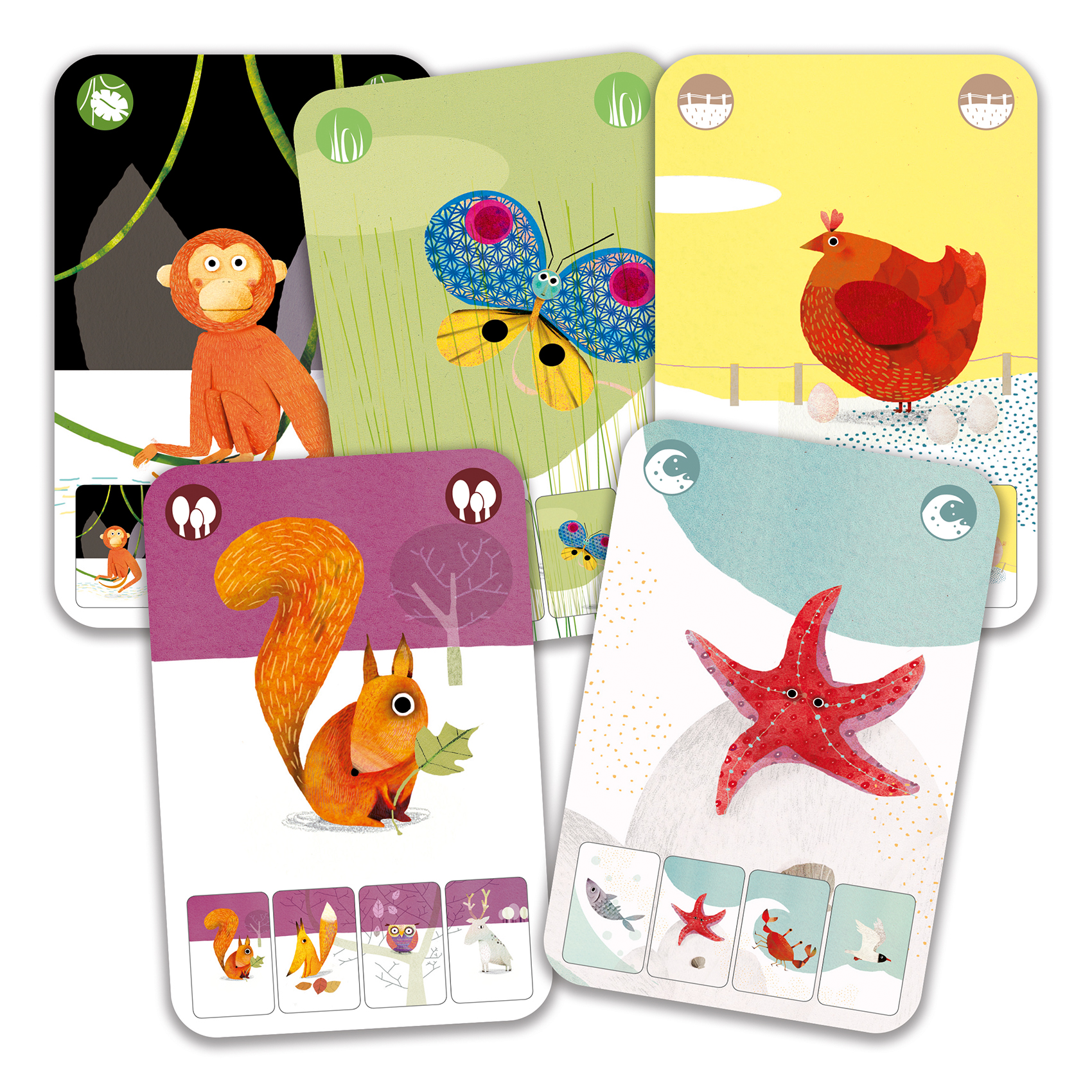 Jeu De Carte Mini Nature