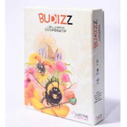 Budizz